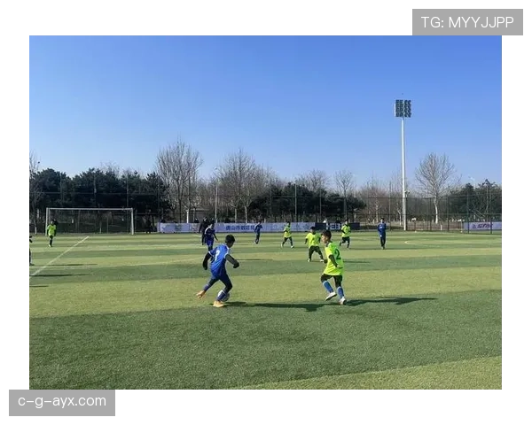 南美足球彰显团结拼搏精神，引领足球文化发展新潮流