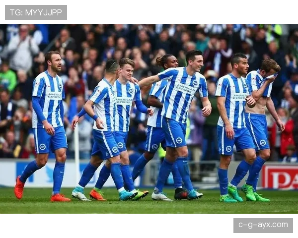 布莱顿英超表现稳健，球迷期待再攀新高峰