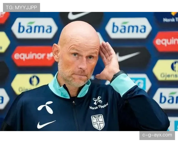 厄德高领衔挪威队中场核心表现稳健