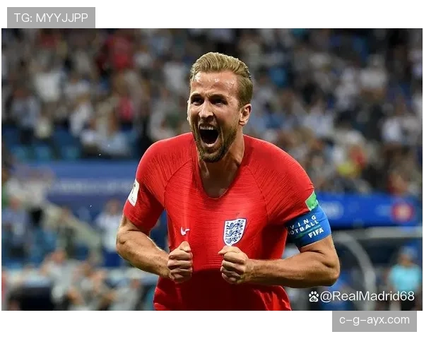 哈里·凯恩纪录片介绍