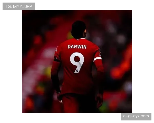 努涅斯本菲卡单赛季30+进球数据解析